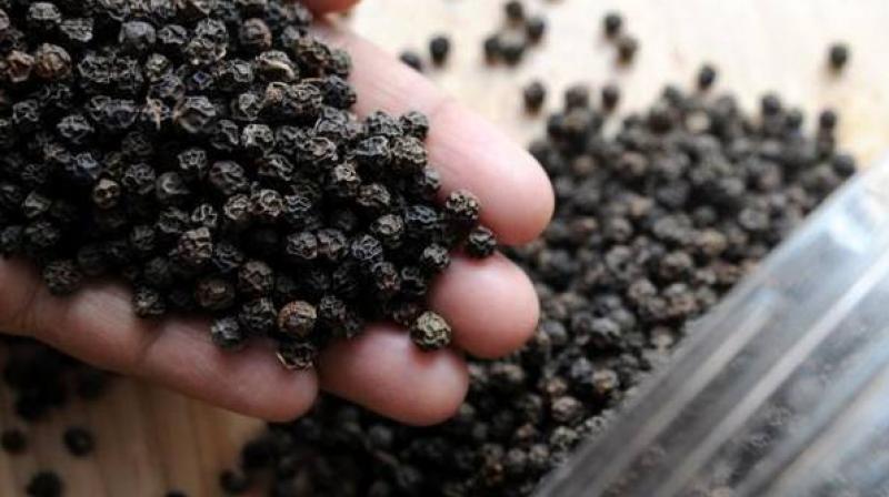 Spices rule steady in weak trade