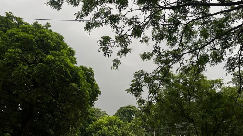 Punjab Weather Updates: IMD Issues Yellow Alert Warning of Heavy Rain in 3 Districts, Aug 5