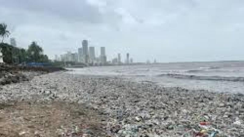 Research indicates that Mumbai releases approximately 5 million kilograms of plastic into the ocean each year, damaging 220 km of coastline and threatening 1.9 million livelihoods. File Photo.