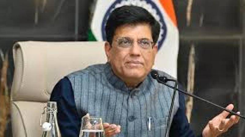 According to Minister Goyal, all sensitive sectors, specifically agriculture and dairy, have been safeguarded to ensure that all segments of Indian society benefit.  File Photo.