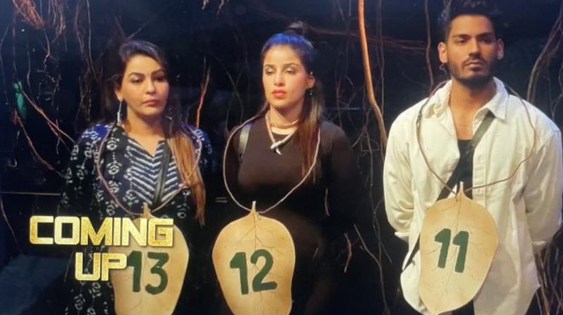 Bigg Boss 18 Double Elimination: Yamini Malhotra, Edin Rose Evicted After Digvijay Rathee's Eviction