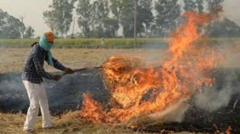 Union Minister Speaks Up for Punjab Farmers During Delhi Smog Controversy