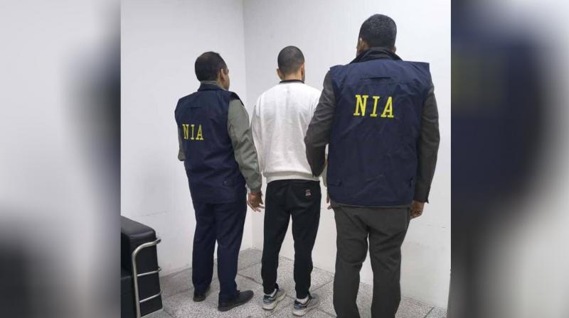 Indian authorities claim that Anmol, like his brother Lawrence, is deeply involved in organised crime networks spanning extortion, arms trafficking, and murder. File Photo.