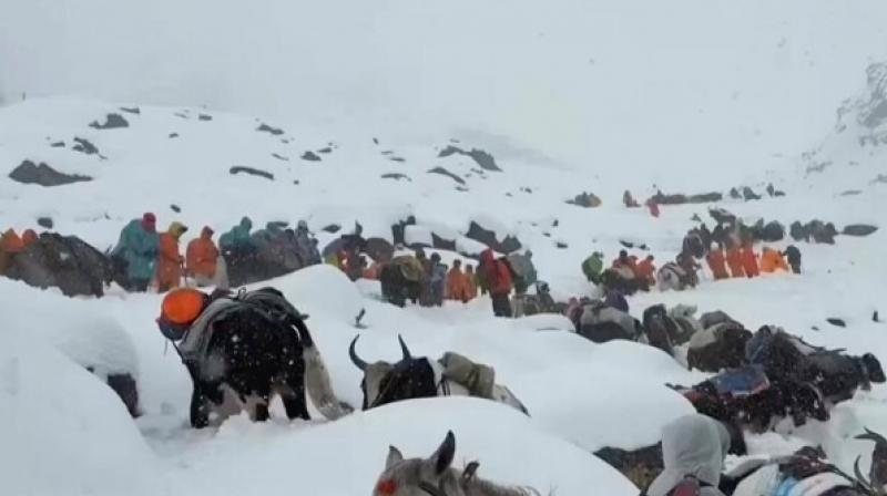 850 Hikers (Mostly Chinese), Guides, Porters Stranded In Blizzard On Slopes Of Mount Everest Rescued