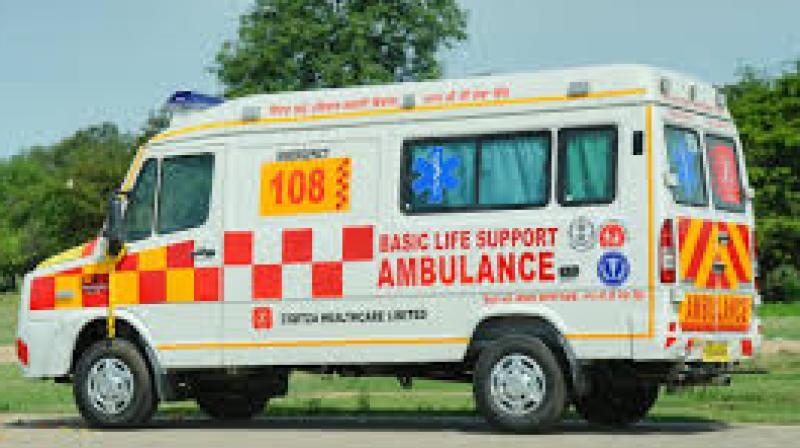 Calling for a statewide awareness campaign, the panel emphasised that ambulance movement must be prioritised even during VIP movements.  File Photo.