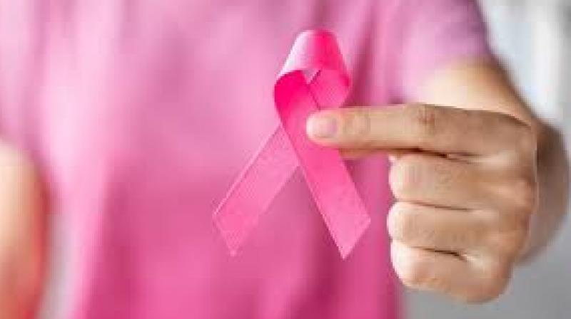 Punjab bore a significant burden, recording 13,299 deaths due to breast, cervical, and ovarian cancers over the five-year period. File Photo.