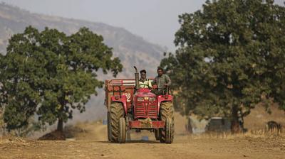 2025 has officially become the strongest year on record for the industry, with domestic volumes and exports both making new records. File Photo.