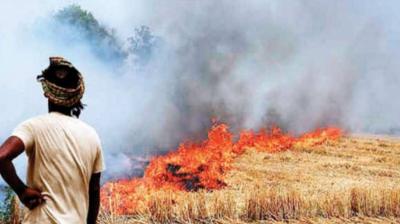 Punjab Introduces Capital Subsidy Scheme to Combat Stubble Burning and Energize Industry