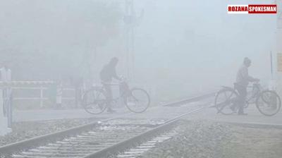 Punjab Weather Update: Drop in Temperature, Dense Fog, and Drizzle Expected