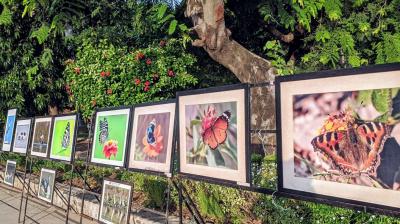 WILDLIFE WEEK - 2021 AT SUKHNA LAKE 