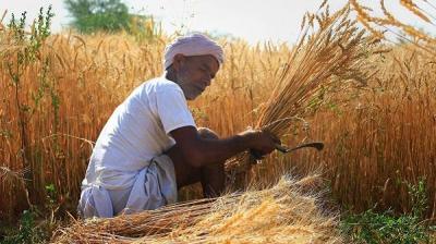 THE AGRICULTURE DEPARTMENT ISSUED 147 APPOINTMENT LETTERS TO THE KINS OF DECEASED FARMERS