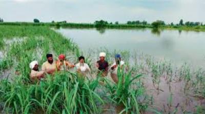 Beas River Water Level increases raising concerns in Punjab