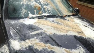 Eggs thrown at Hardik Patel's car 