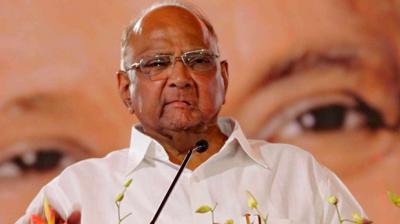 Pawar not to fight Lok Sabha polls