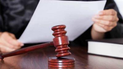 No interim order by HC against felling trees for south Delhi re-development