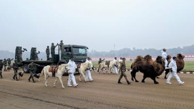 Republic Day 2026: Ladakh's Double-Hump Camels, Horses to Feature in Kartavya Path Parade