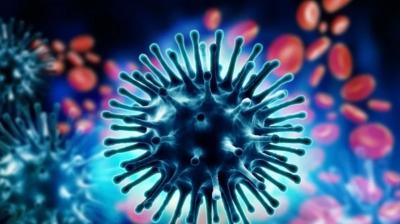 Chandigarh reports 1st case of swine flu, health department issues advisory