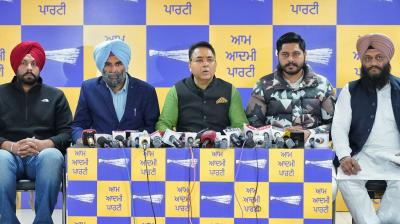 AAP Announces First List With 784 Candidates for Urban Local Bodies Elections