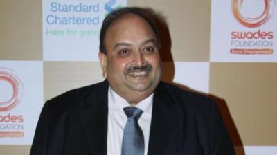 India Assures Belgium: No Solitary Confinement for PNB Fraud Fugitive Mehul Choksi if Extradited