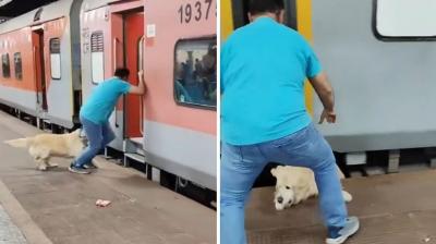 Anger Over Careless Accident Involving Dog at Railway Station