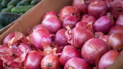Onion Prices Surge