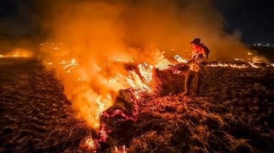 12 FIRs Against Farmers for Stubble Burning, Amritsar Leads 