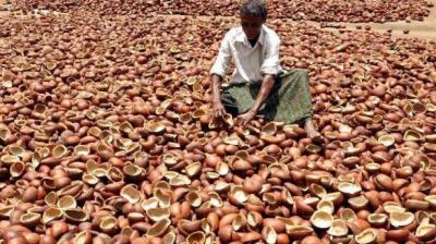 Select copra decline on subdued demand