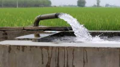 Regions dependent on agriculture and groundwater should read this as a wake-up call: more than ever, cropping patterns, water management and irrigation practices matter today. File Photo.