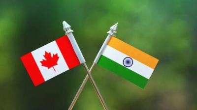 For Representative Purpose Only 