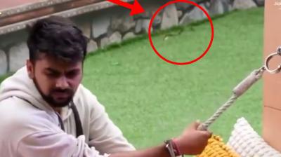 Bigg Boss OTT 3 Latest Update: Snake Behind Lovekesh Kataria Sparks Row 