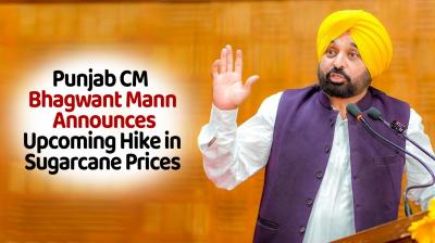 Punjab CM Bhagwant Mann Latest News
