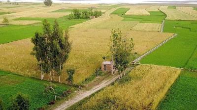 Punjab Budget 2025: Agriculture and Sustainability Get a Boost 