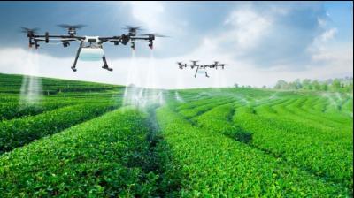 Centre mulling to transform farming with new digital infrastructure