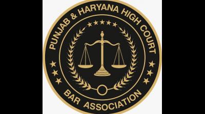 Punjab & Haryana High Court Bar Association on Strike Against Ravneet Kaur & Simran Blassi