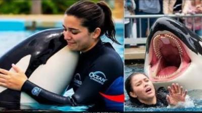  Who Was Jessica Radcliffe, Claimed To Have Been Eaten By A Dolphin? 