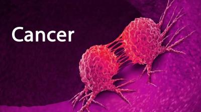 Budget 2026–27 proposes exemption of basic customs duty on 17 life-saving drugs, including cancer medicines