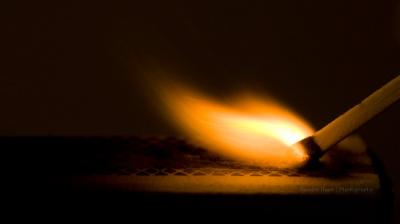 A woman allegedly committed suicide after setting herself and her two daughters on fire