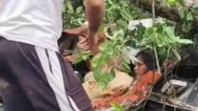 Five Dead After Tree Falls on Moving Bus Carrying 60 Passengers in Barabanki, Uttar Pradesh
