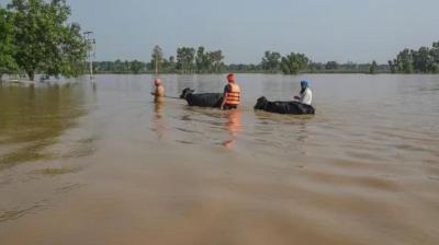 Punjab Government Takes Proactive Lead in Securing Border, Protecting Farmers from Ravi Flooding