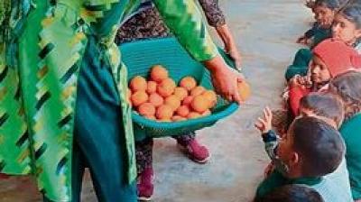 By collaborating with the Agriculture, Horticulture, and Education Departments, these areas will be transformed into herbal and fruit gardens. File Photo.