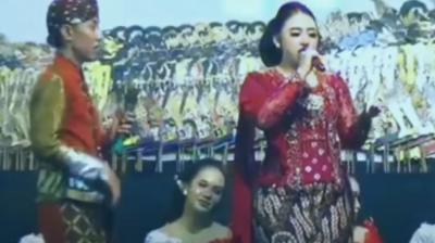 ‘Anan Ta Pad Chaye’: Know The Real Story Behind The Trending Song Taking Over Instagram Reels