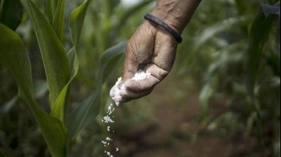 India Faces Specialty Fertiliser Price Jump As China Suspends Exports Affecting Not Just India But Global Markets