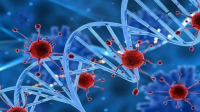 For Representative Purpose Only