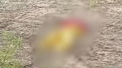 Haryana Transfers Manisha's Death Case To CBI After Public Outrage