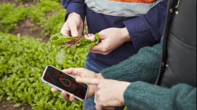 Remotely manage aqua farms by monitoring water and temperature conditions 