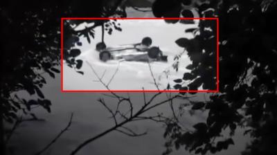 Shimla: Three Killed, One Injured After Car Falls Into Pabbar River in Rohru Amid Heavy Rain