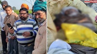 Punjab: 65 year old man mauled to death by stray dogs in Ferozepur 