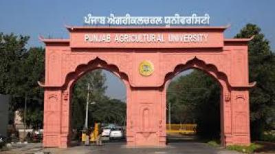 Thind emphasized that value addition and agro-processing are now required for a stable "fiscal harvest," particularly as international tariffs impact traditional exports. File Photo.