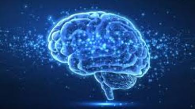 “If a full-time counsellor is needed, the system must move in that direction,” he said, warning that continued dependency on part-time appointments risks treating crises as occasional incidents rather than structural failures. File Photo.