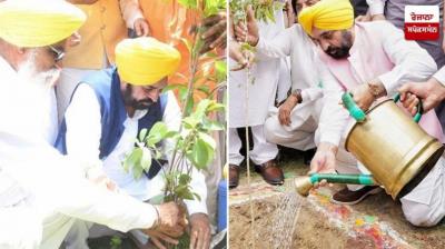 Reining in 20 years of negligence by previous governments, AAP Govt expands Punjab's tree cover by 177.22 sq km